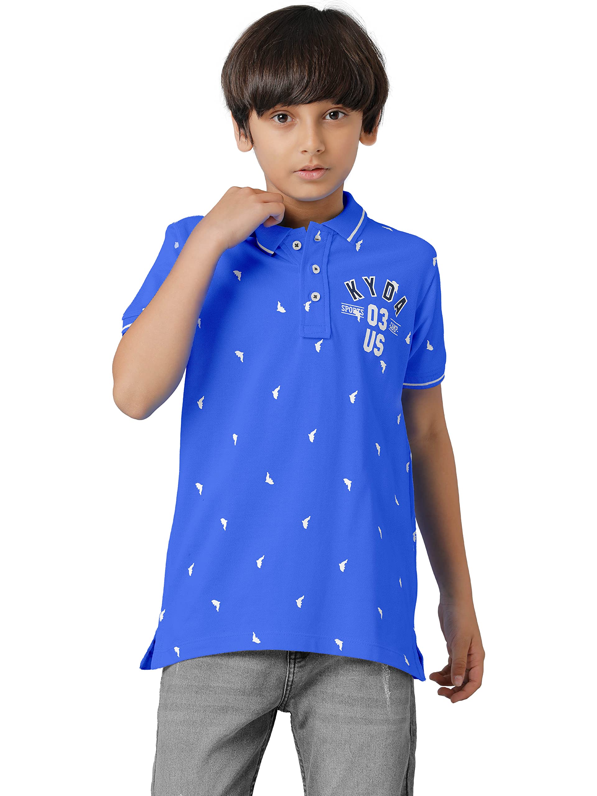 Boys Cotton Printed Regular Fit Polo Blue T-Shirts