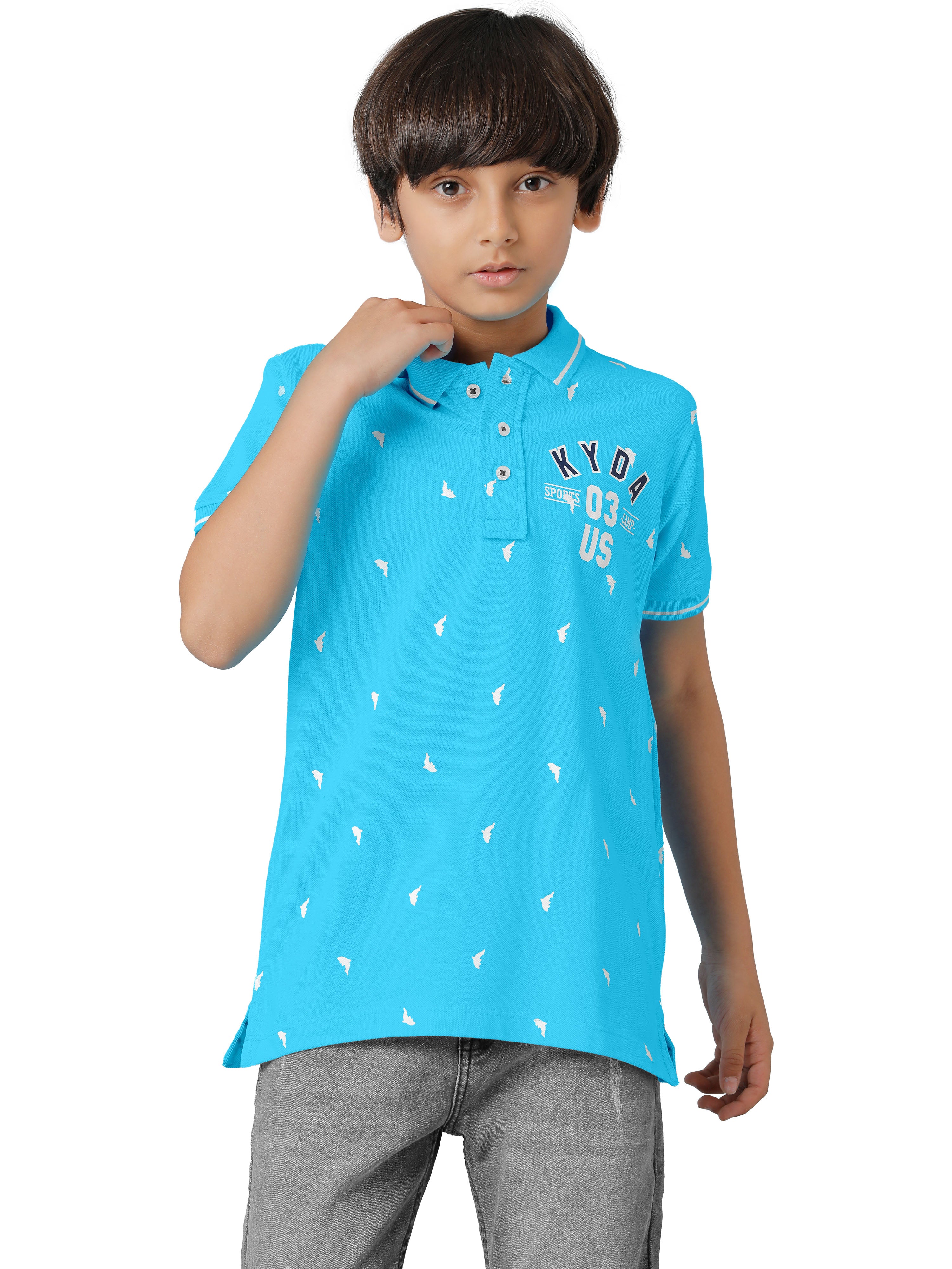 Boys Cotton Printed Regular Fit Polo Sky Blue T-Shirts